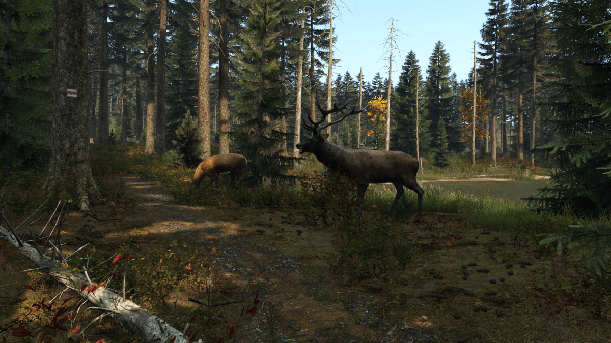 DayZ PS4