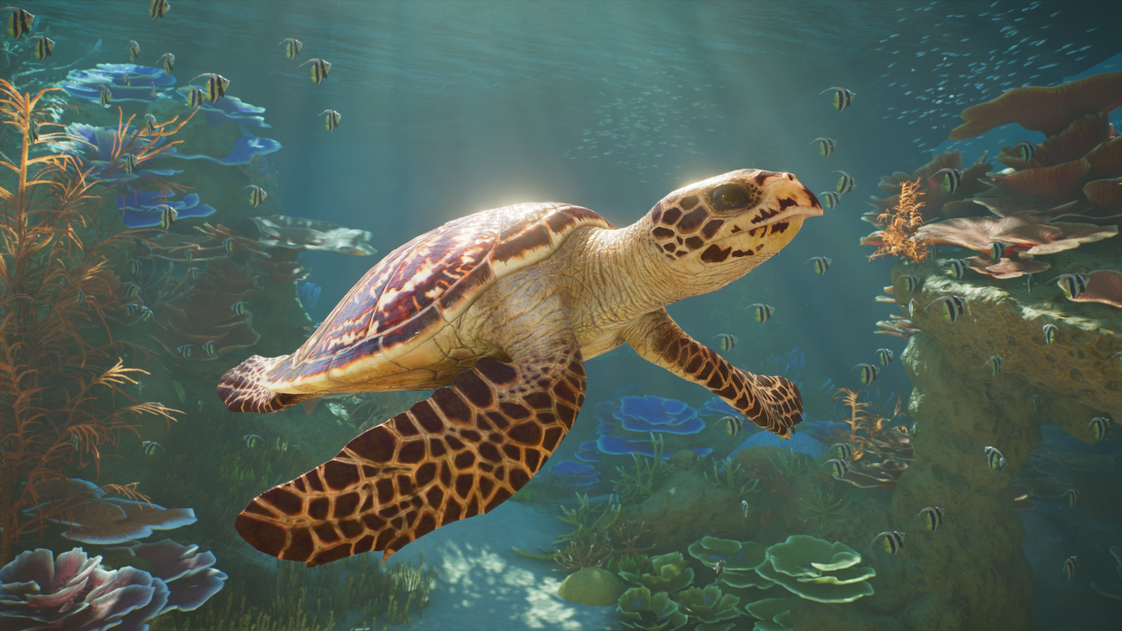 Planet Zoo 2 Xbox Series X