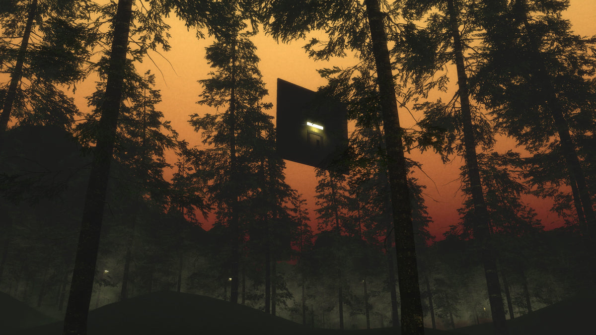 Backrooms Level X Deluxe Edition PS5