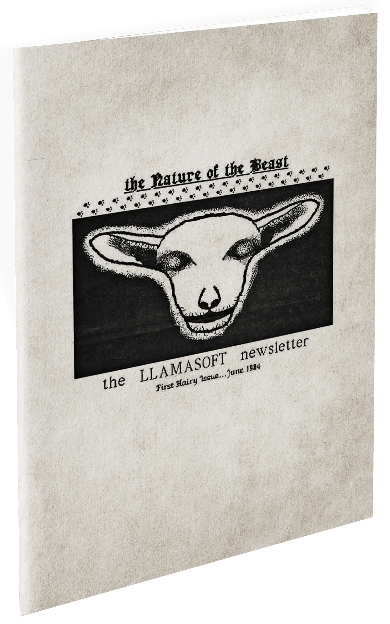 Llamasoft The Jeff Minter Story Deluxe Edition SWITCH - Jeux Vidéo Physique - Clear River Games - Shop Just for Games