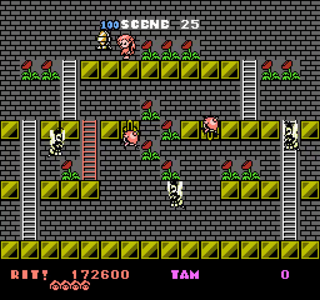 Rod Land Collector’s Edition Cartouche NES - Jeux Vidéo Cartouche - retro - bit - Shop Just for Games