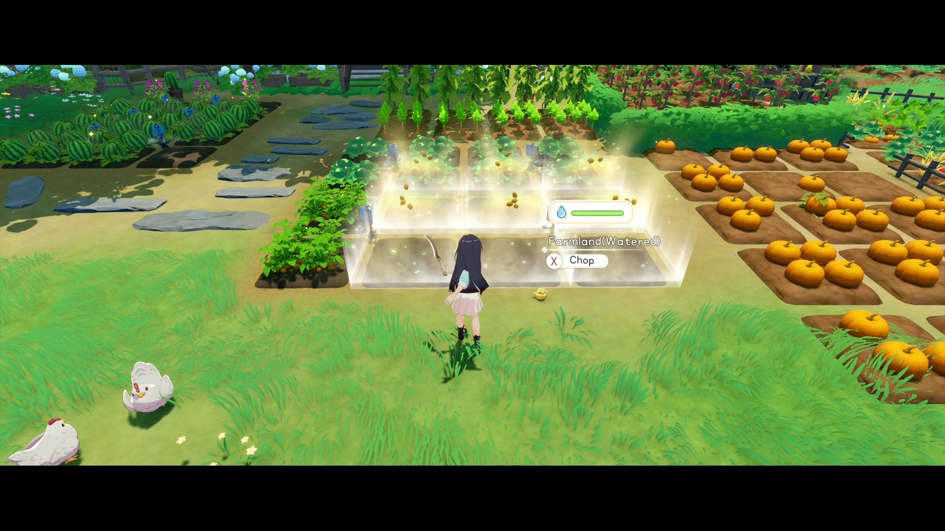 Starsand Island PS5