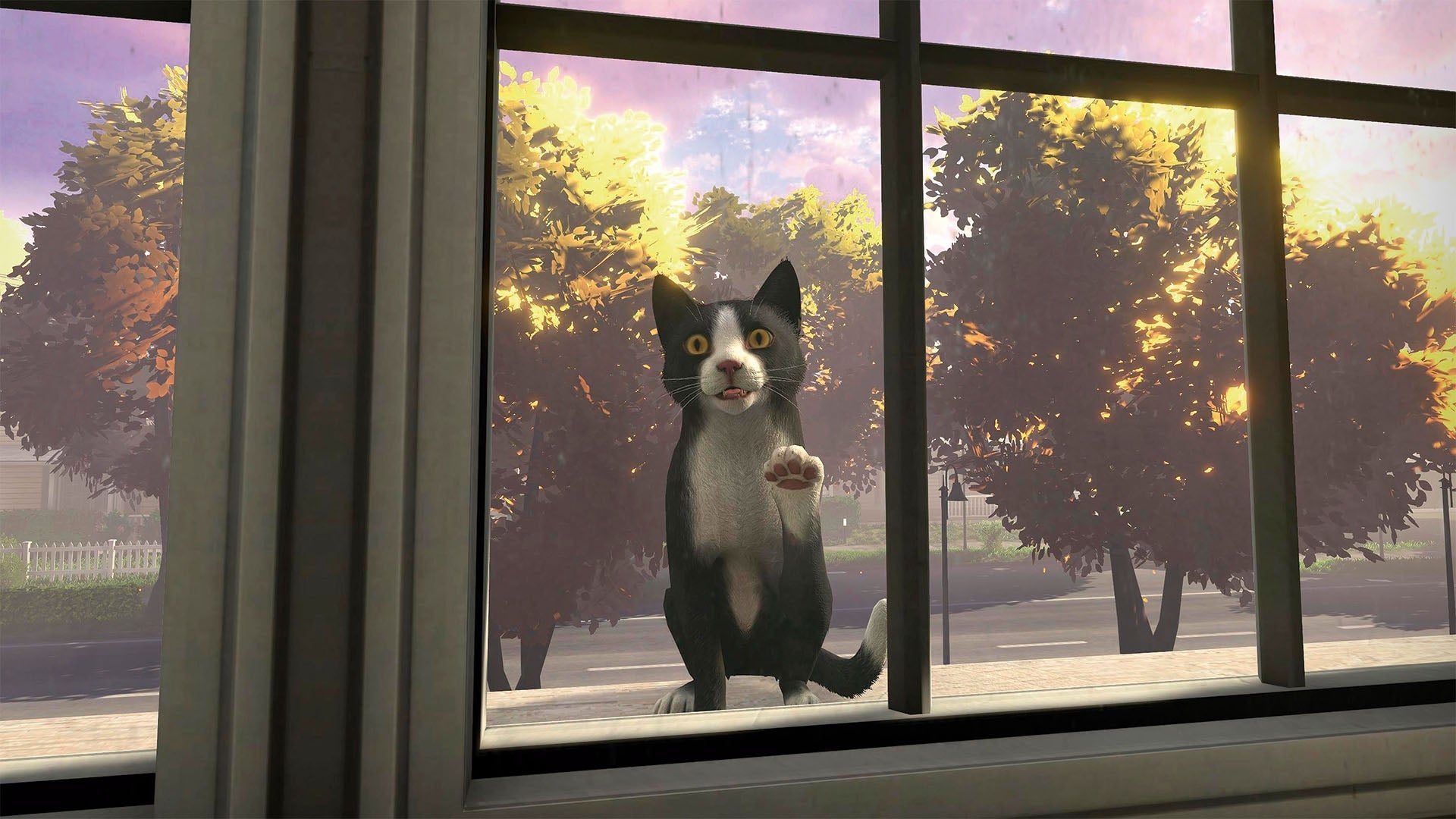 Copycat PS5 - Jeux Vidéo Physique - TESURA - Shop Just for Games