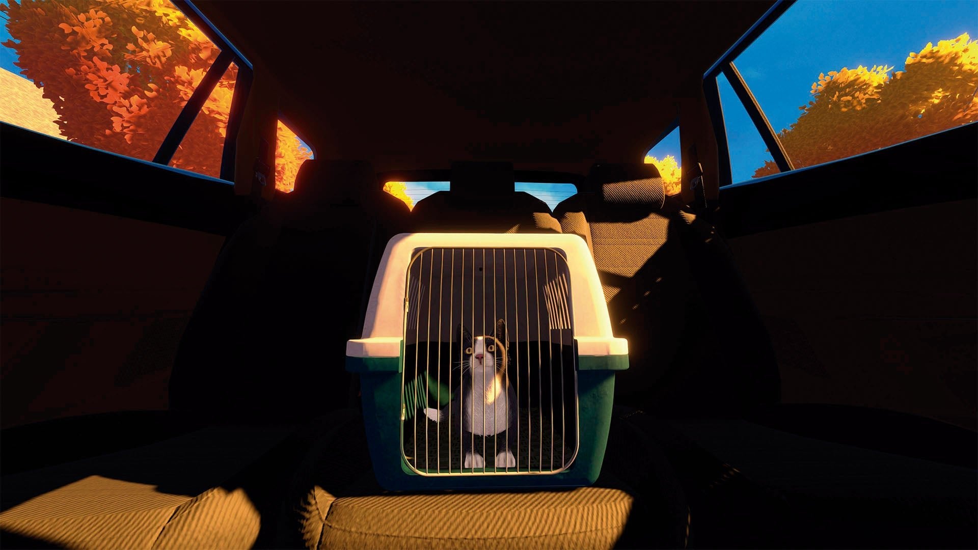 Copycat PS5 - Jeux Vidéo Physique - TESURA - Shop Just for Games