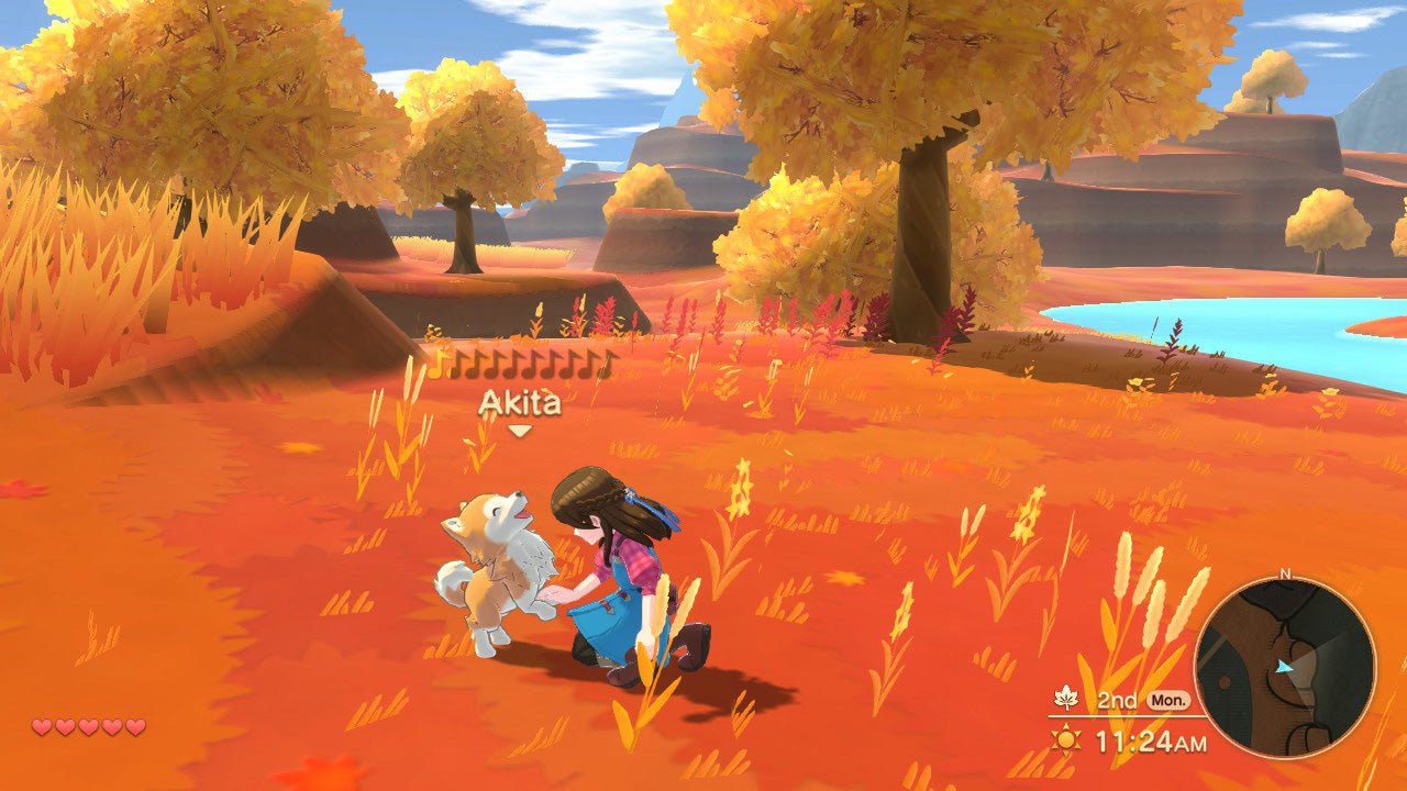 Harvest Moon The Winds of Anthos Complete Edition Nintendo Switch - Jeux Vidéo Physique - NUMSKULL - Shop Just for Games