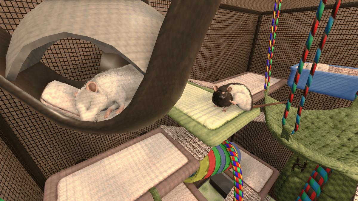 House Flipper Pets Edition Nintendo SWITCH - Jeux Vidéo Physique - MERGE - Shop Just for Games