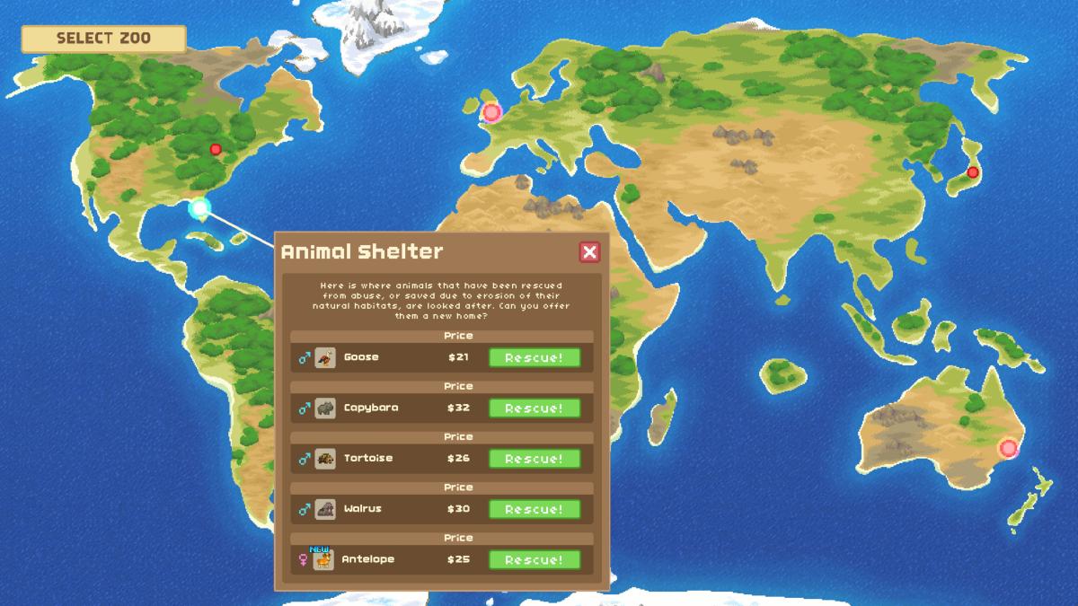 Let's Build a Zoo Nintendo SWITCH - Jeux Vidéo Physique - MERGE - Shop Just for Games