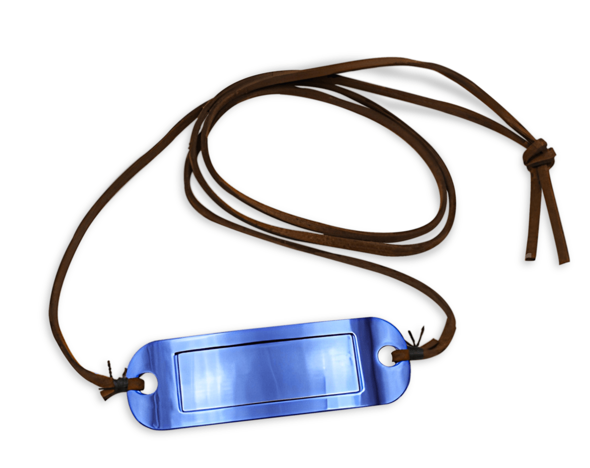 Overlord Escape from Nazarick Limited Edition Nintendo Switch - Jeux Vidéo Physique - SELECTA PLAY - Shop Just for Games