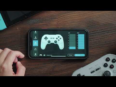 8bitdo Pro 2 Manette sans Fil Bluetooth - Gray Edition