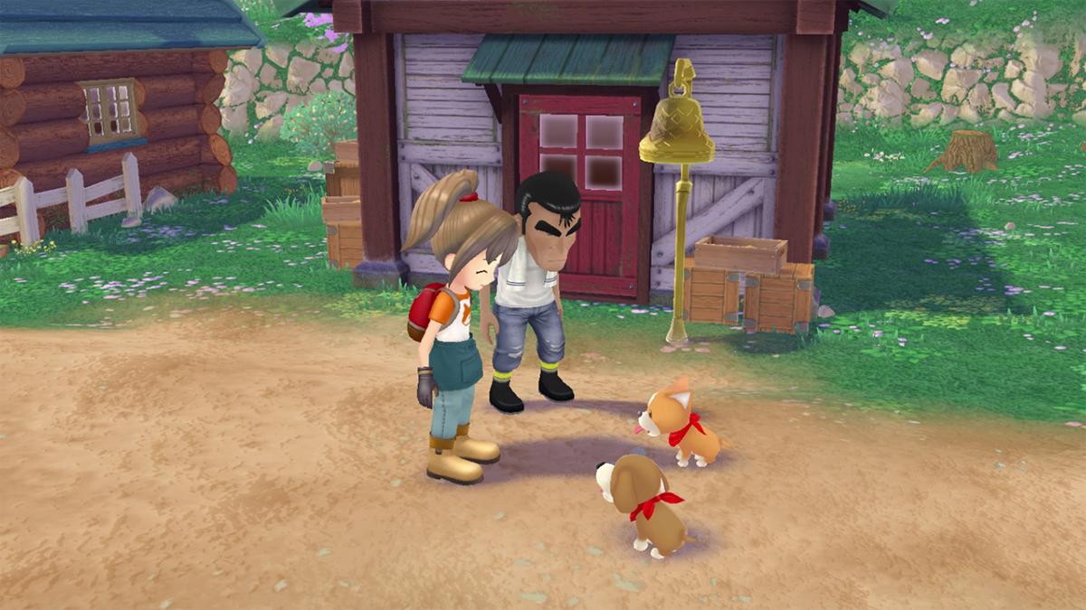 Story of Seasons: A Wonderful Life Edition Limitée PS5 - Jeux Vidéo Physique - MARVELOUS - Shop Just for Games