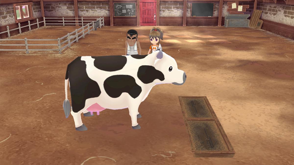 Story of Seasons: A Wonderful Life Edition Limitée PS5 - Jeux Vidéo Physique - MARVELOUS - Shop Just for Games