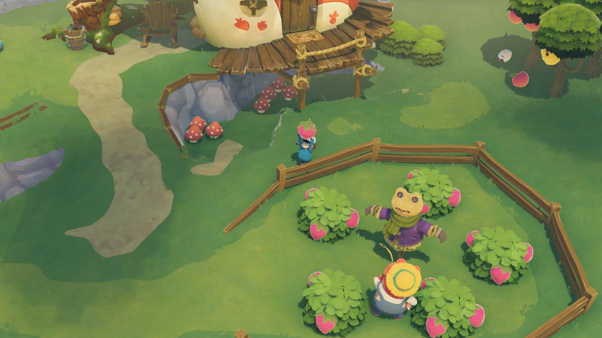 Time on Frog Island Nintendo SWITCH - Jeux Vidéo Physique - MERGE - Shop Just for Games