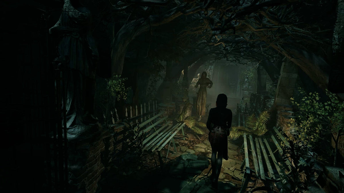Tormented Souls 2 Switch 2 - Jeux Vidéo Physique - PQUBE - Shop Just for Games