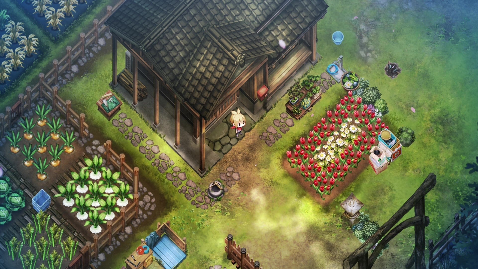 Village In The Shade Deluxe Edition SWITCH 2 - Jeux Vidéo Physique - NIS America - Shop Just for Games