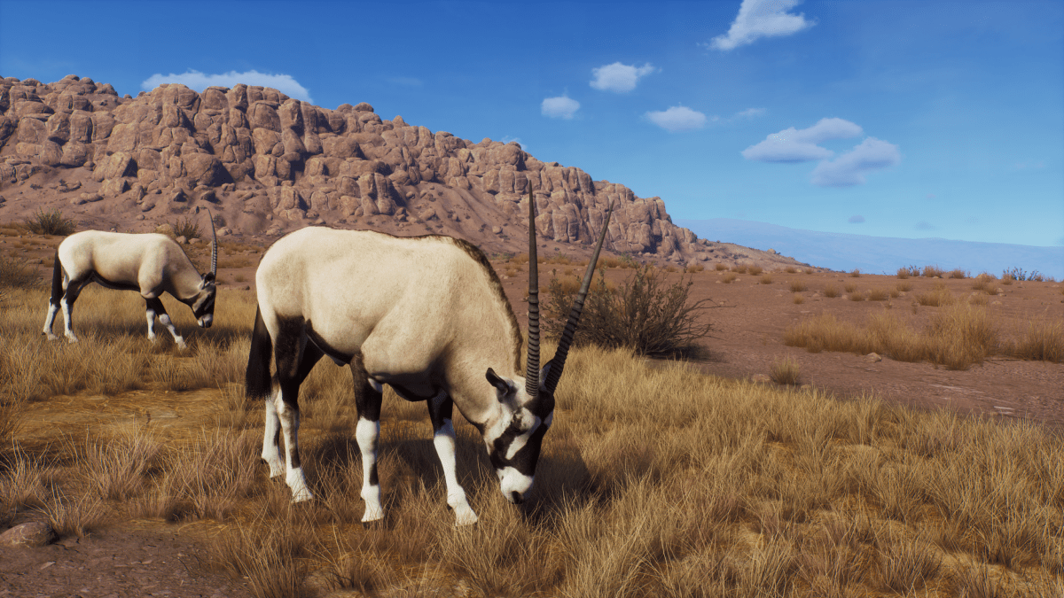 Way of the Hunter Season One PS5 - Jeux Vidéo Physique - THQ NORDIC GAMES - Shop Just for Games