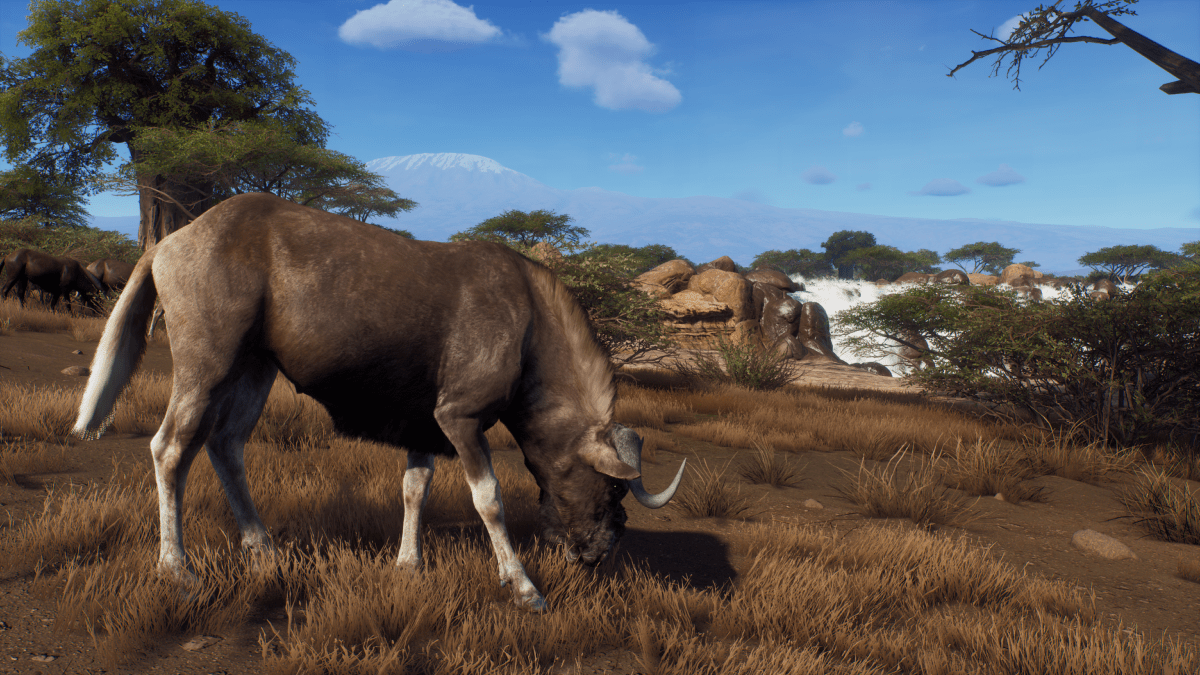 Way of the Hunter Season One Xbox Series X - Jeux Vidéo Physique - THQ NORDIC GAMES - Shop Just for Games