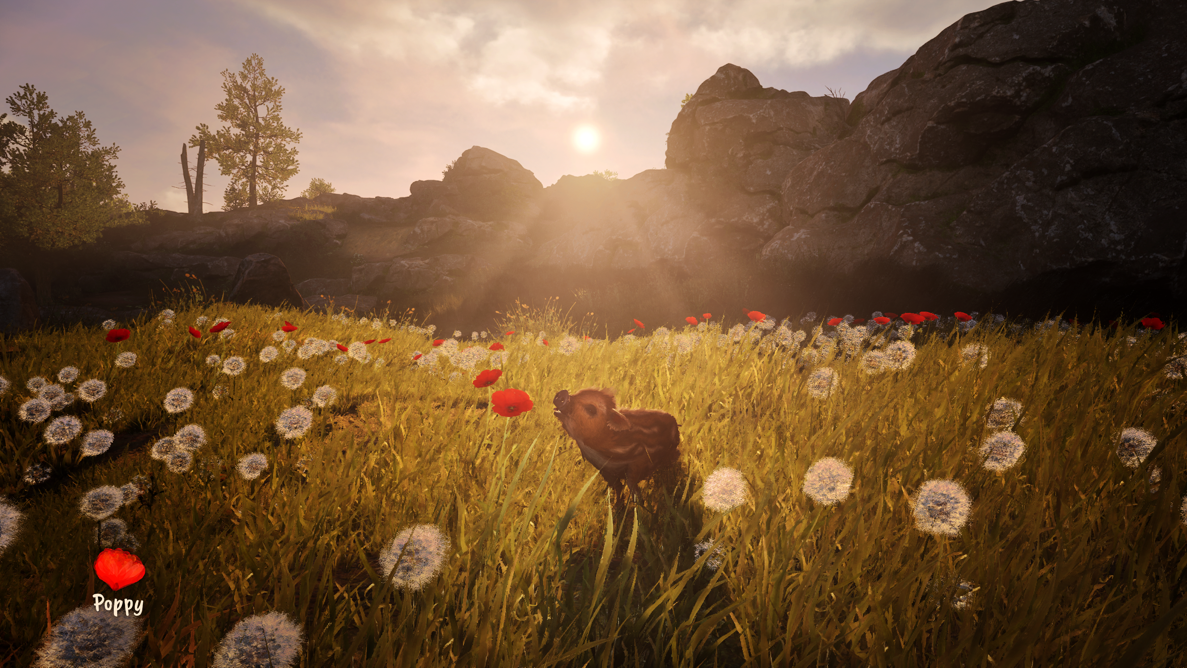 Adorable Adventures PS5