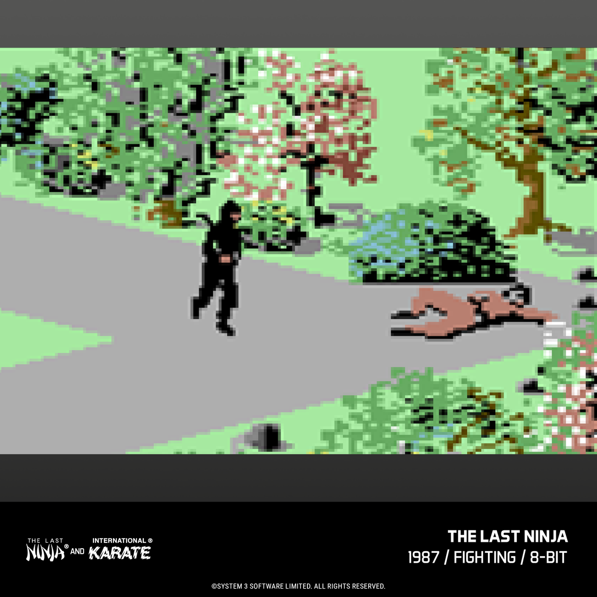 Blaze Evercade - The Last Ninja & International Karate Collection - Cartouche n°12