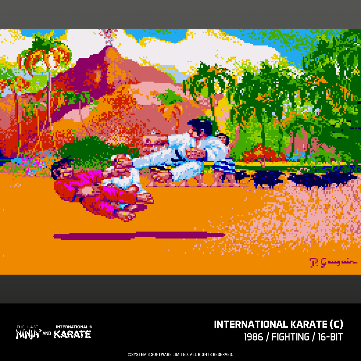 Blaze Evercade - The Last Ninja & International Karate Collection - Cartouche n°12