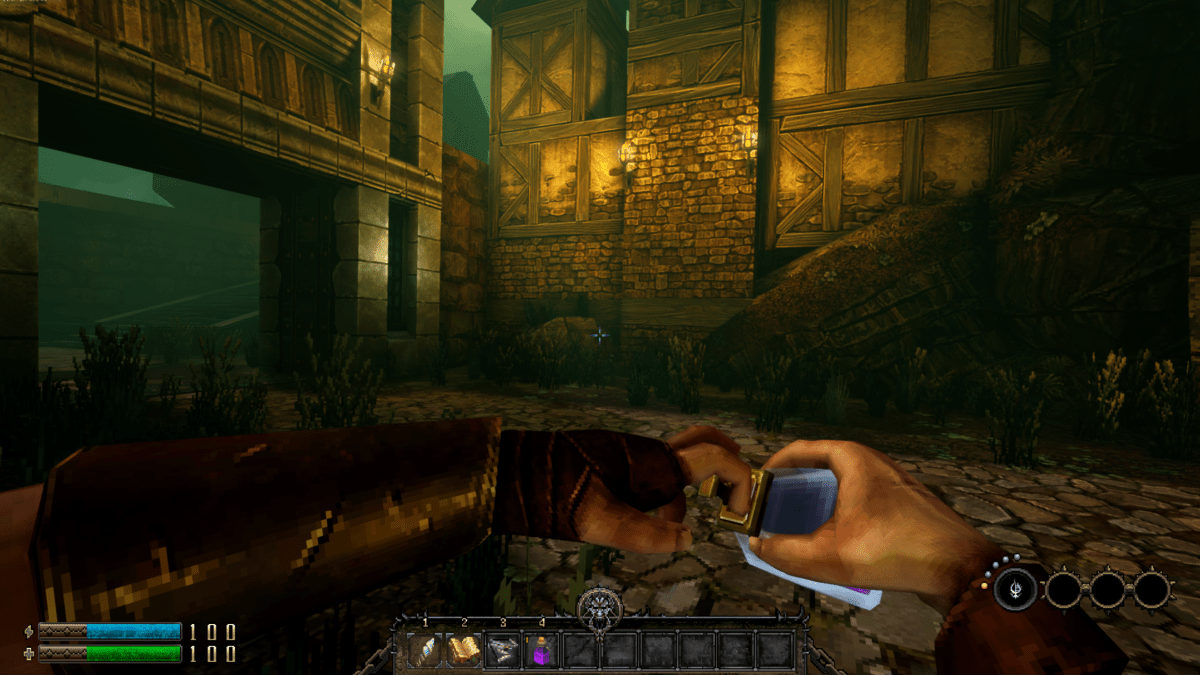 Graven PS4 - Jeux Vidéo Physique - CONTACT SALES - Shop Just for Games