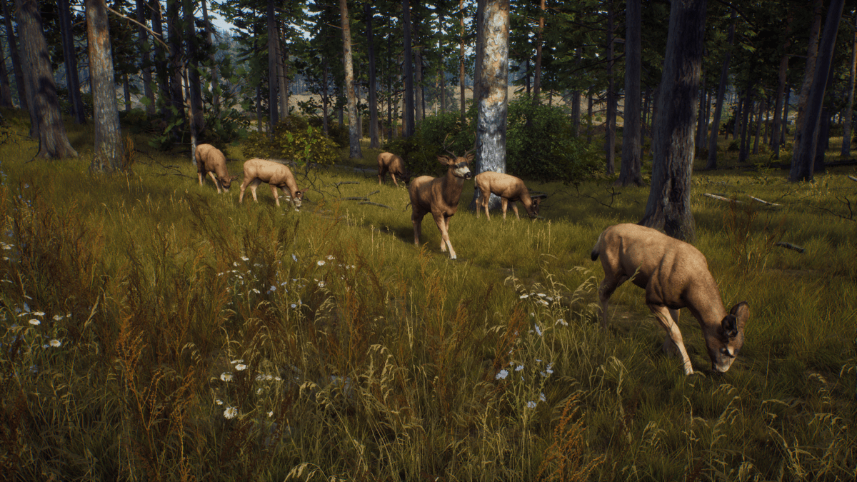 Way of the Hunter Xbox Series X - Jeux Vidéo Physique - THQ NORDIC GAMES - Shop Just for Games