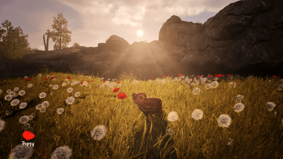 Adorable Adventures PS5 - Jeux Vidéo Physique - PQUBE - Shop Just for Games