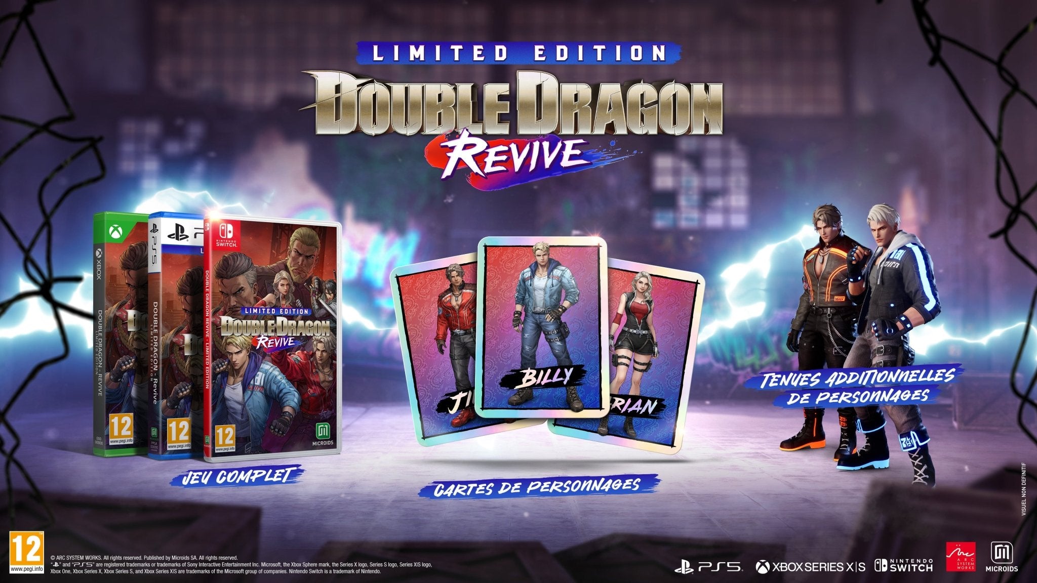 Double Dragon Revive Edition Limitée Nintendo Switch - Jeux Vidéo Physique - MICROIDS - Shop Just for Games