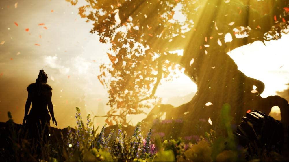 Hellblade Senua's Sacrifice PS4 - Jeux Vidéo Physique - 505 GAMES - Shop Just for Games