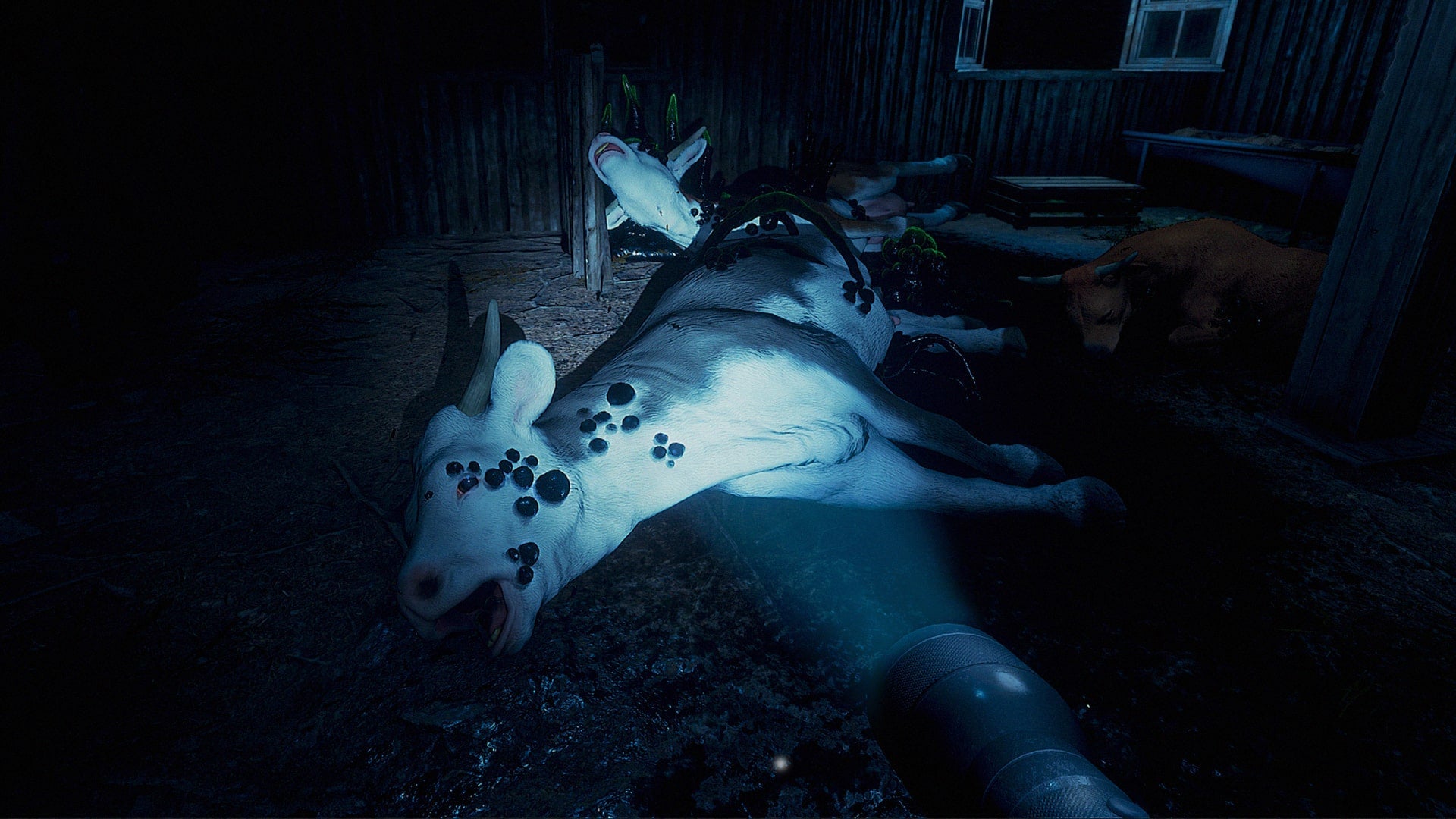 They Are Here Alien Abduction Horror PS5 - Jeux Vidéo Physique - PQUBE - Shop Just for Games