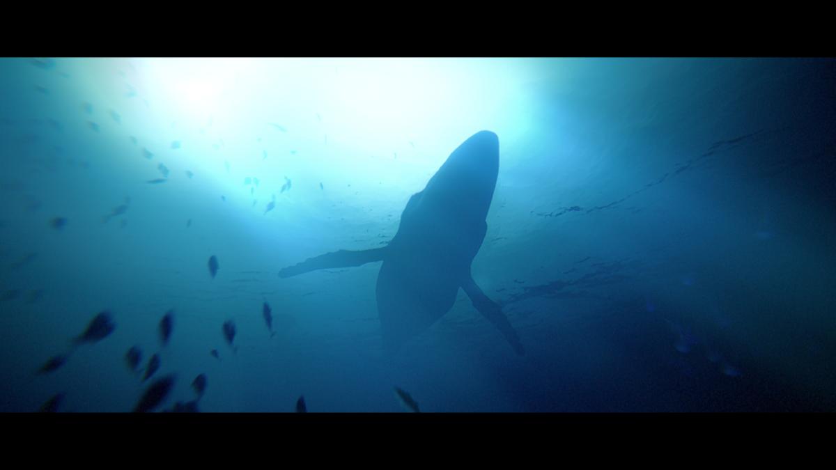 Under the Waves Xbox Series X / Xbox One - Jeux Vidéo Physique - QUANTIC DREAM - Shop Just for Games