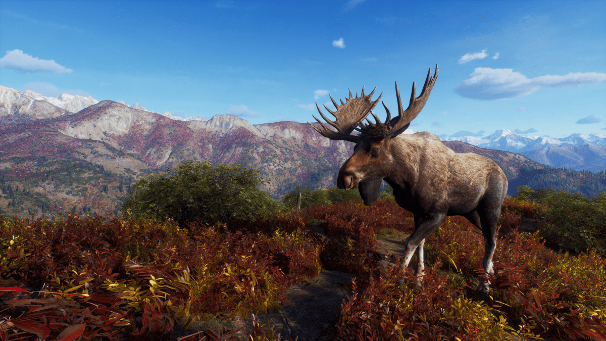 Way of the Hunter Season One Xbox Series X - Jeux Vidéo Physique - THQ NORDIC GAMES - Shop Just for Games