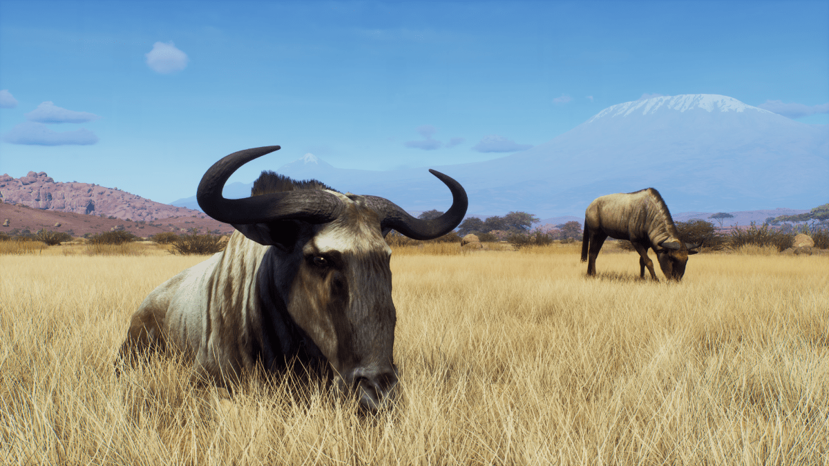 Way of the Hunter Season One Xbox Series X - Jeux Vidéo Physique - THQ NORDIC GAMES - Shop Just for Games